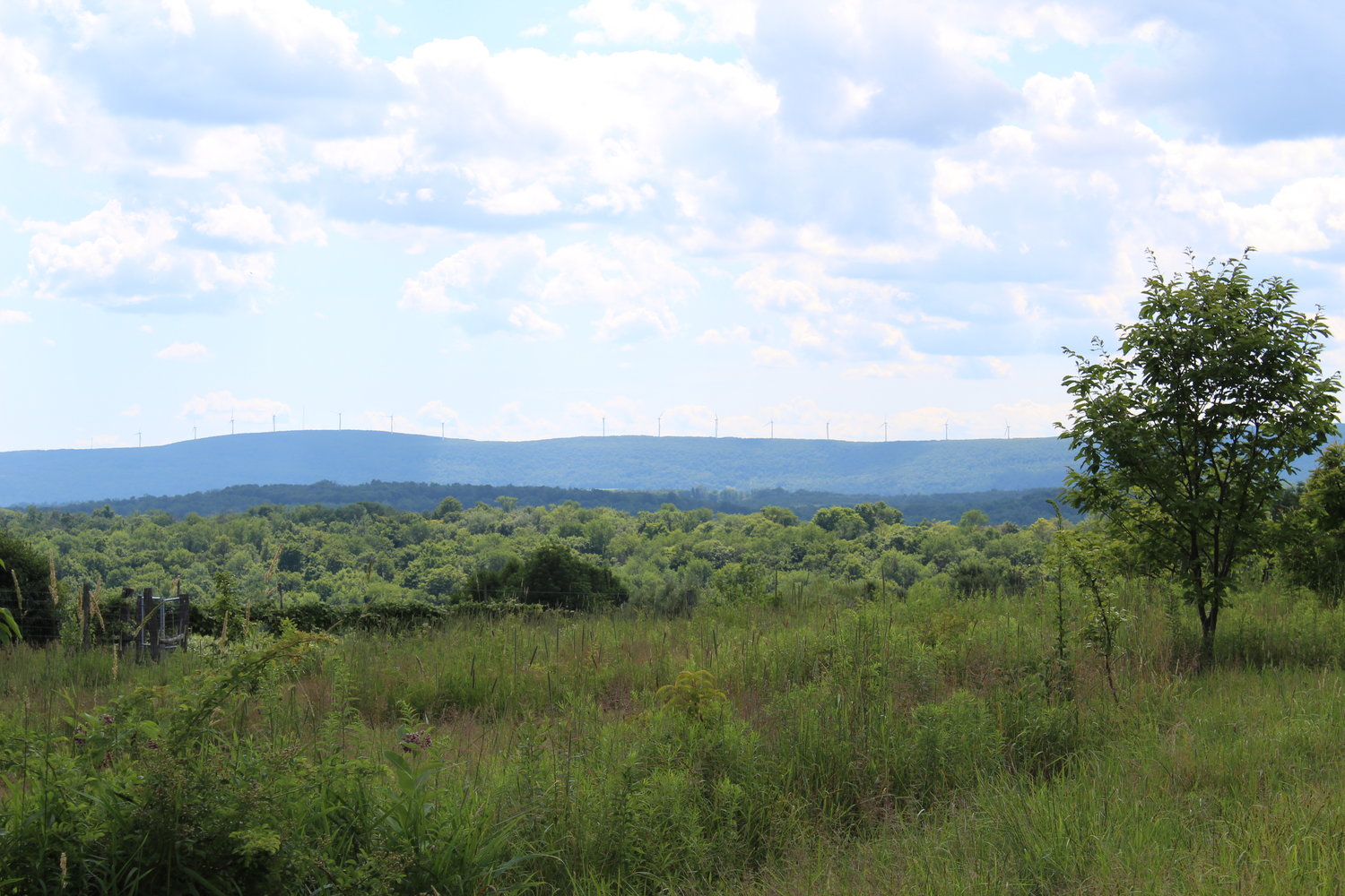 Wind farm in the distance, as seen from Anthill Farm near Honesdale.